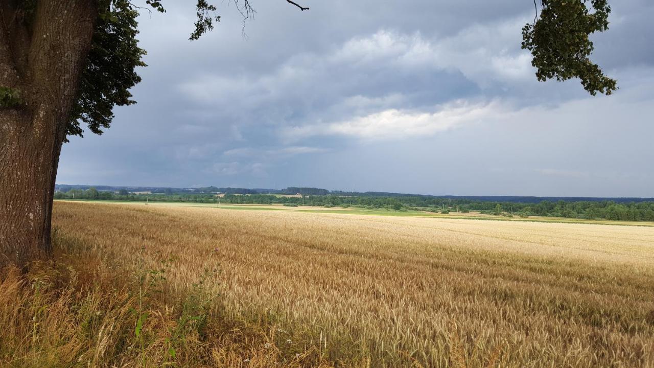 Villa Brzozowa Polana Perlino Esterno foto
